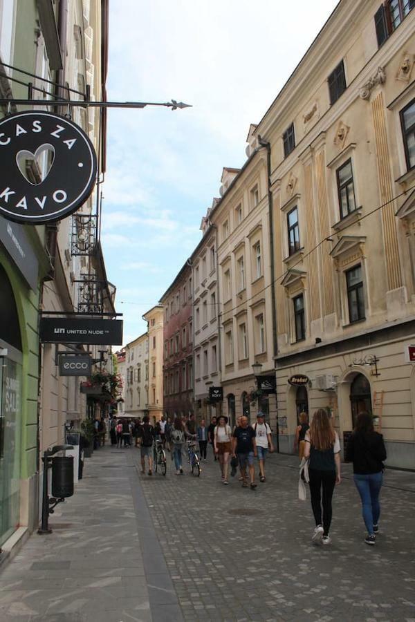 Lovely Old City-Center Apartment Любляна Экстерьер фото